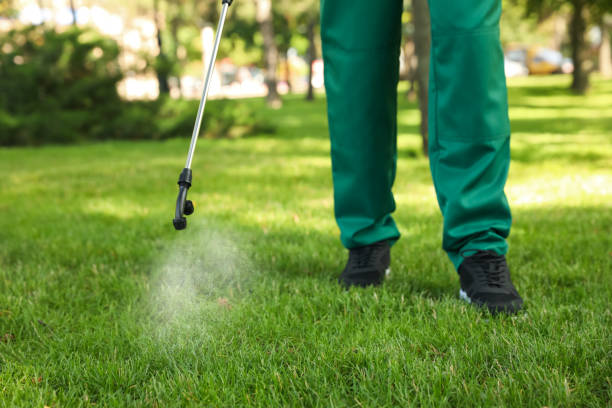 Best Local Pest Control Services  in Selmont West Selmont, AL