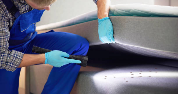 Best Affordable Pest Control Services  in Selmont West Selmont, AL