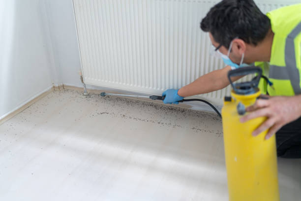 Best Flea Control Services  in Selmont West Selmont, AL
